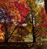 red, yellow & orange