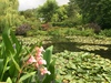 monet's garden in giverny