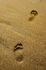 footsteps