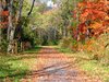 path from autumn