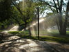 mist on the vanderbilt lawn