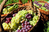 basket of grapes  1