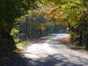 country road in light and shad