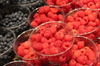 raspberries