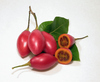 tamarillos  1