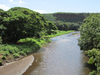 waimea river (from the swingin