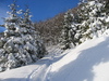 wonderful snow  2