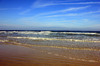 daytona beach under clear sky