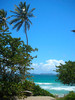 venezuelan beach