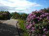 tarbert scotland