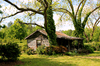 cabin in spring