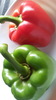 2  sweet pepper