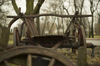 detail - old ox cart  2